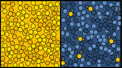 【集團新聞】傲領(lǐng)科技之先，住友橡膠最新成果